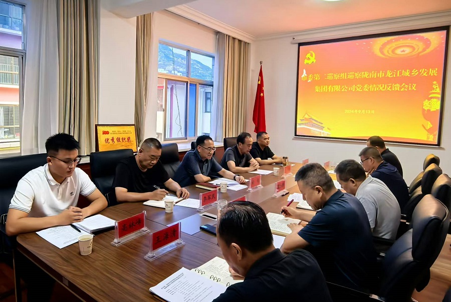 市委第二巡察組巡察市龍江城鄉發展集團黨委情況反